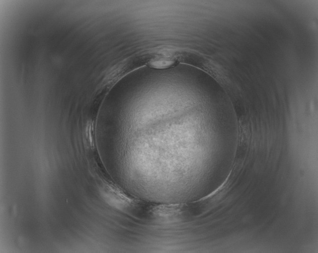 X0000060570094200511031321