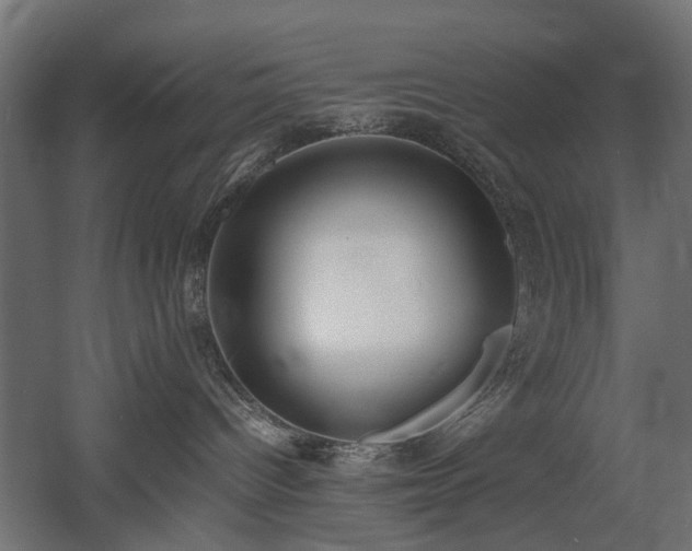 X0000060570096200511031321