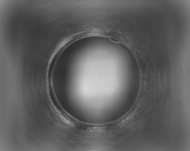 X0000060570102200511031320