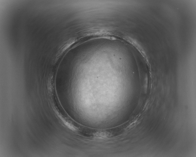 X0000060570105200511031320