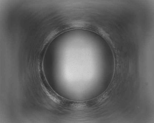 X0000060570106200511031320