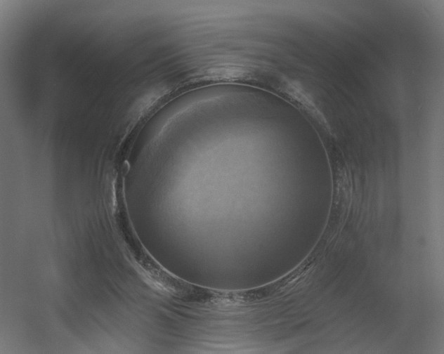 X0000060570110200511031320