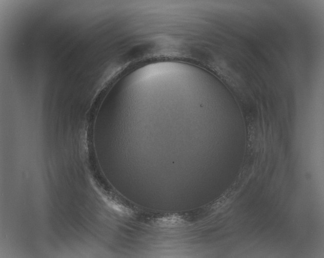 X0000060570112200511031320