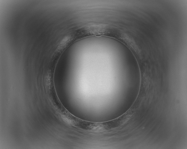X0000060570113200511031320