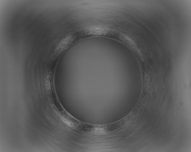 X0000060570114200511031320