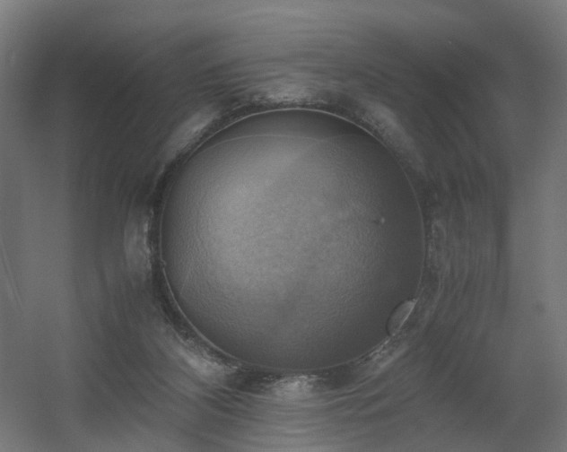 X0000060570116200511031320