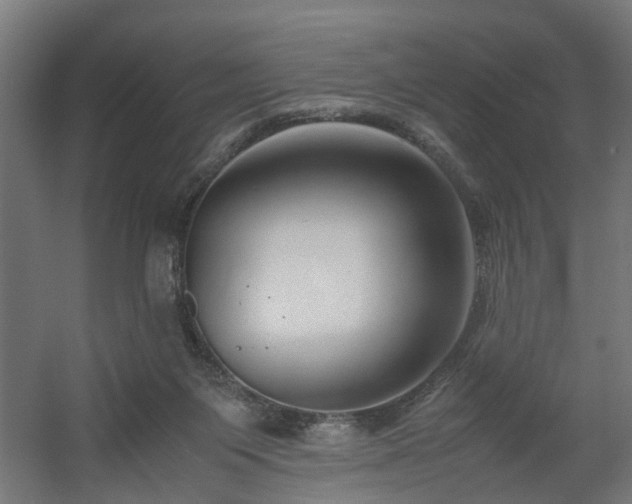 X0000060570119200511031319