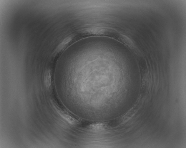 X0000060570120200511031319