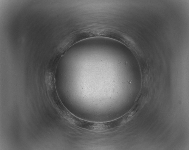 X0000060570121200511031319