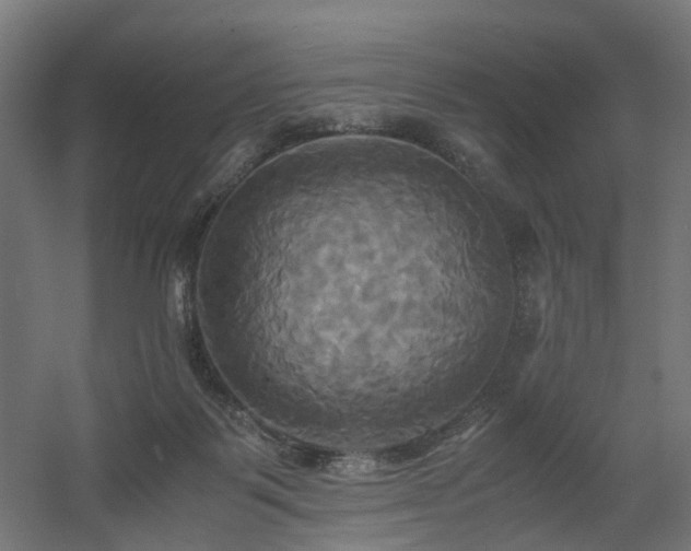 X0000060570123200511031319