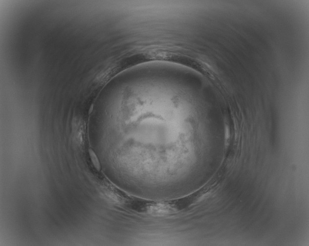 X0000060570125200511031319