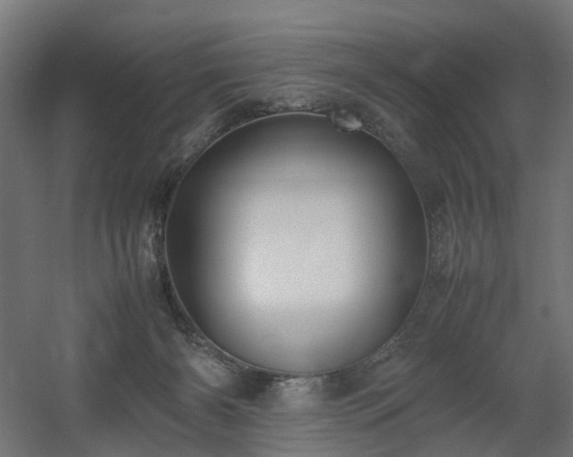 X0000060570126200511031319
