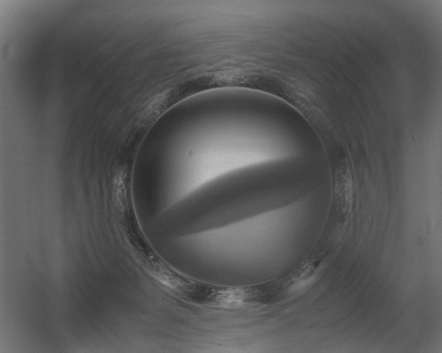 X0000060570127200511031319