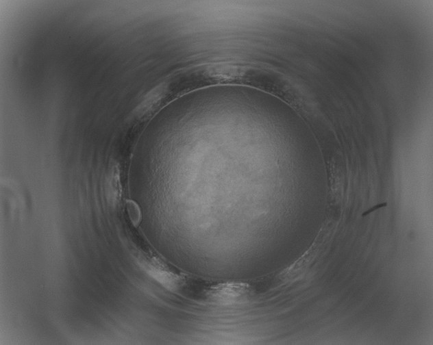 X0000060570128200511031319