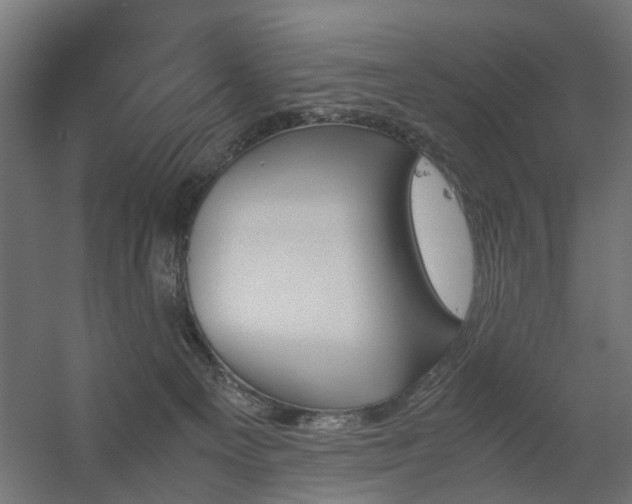 X0000060570129200511031319