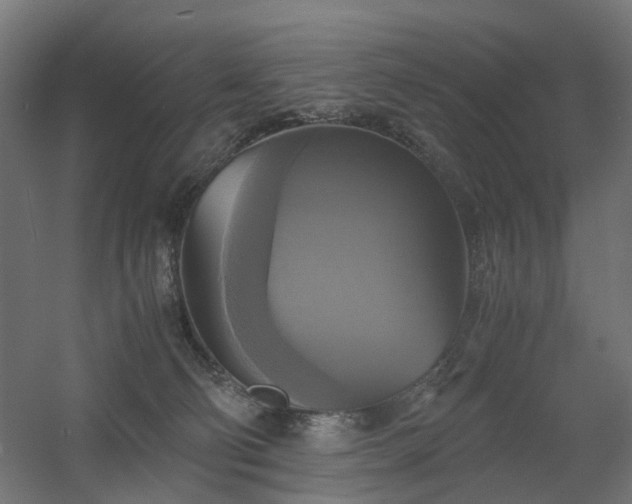X0000060570130200511031319