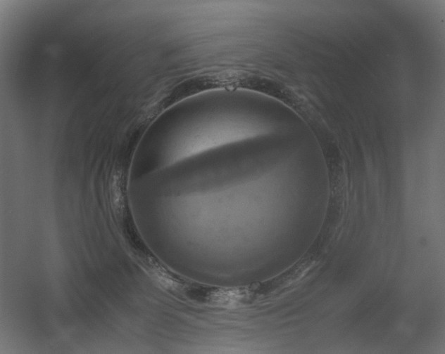 X0000060570131200511031319