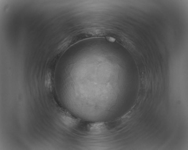 X0000060570132200511031319