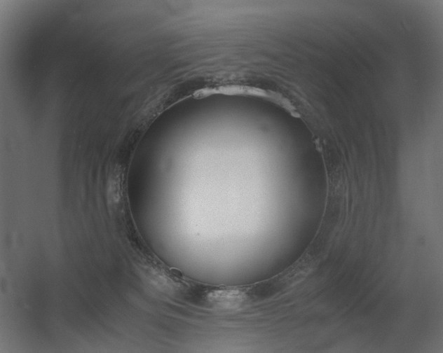 X0000060570133200511031319