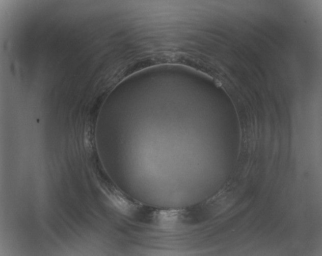 X0000060570134200511031319
