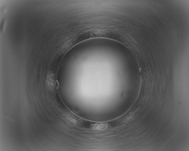 X0000060570135200511031319