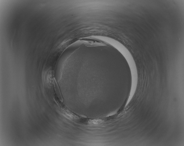 X0000060570137200511031319