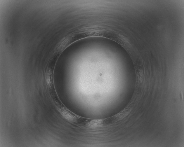 X0000060570138200511031319
