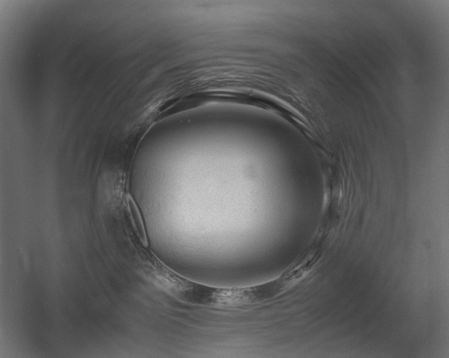 X0000060570141200511031319