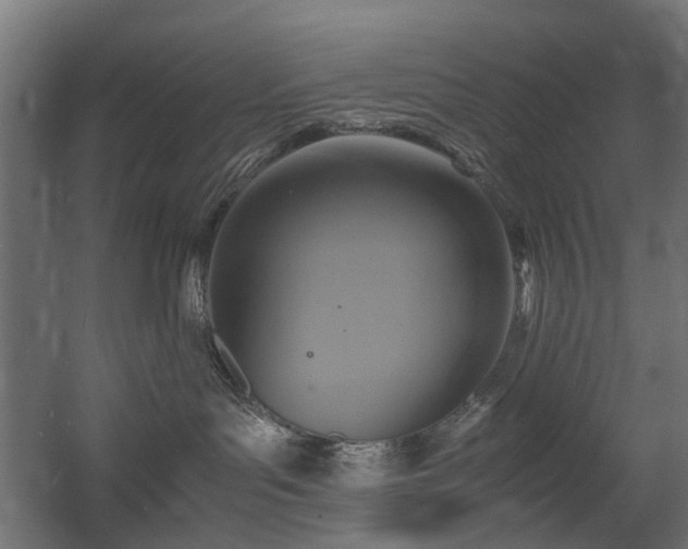 X0000060570143200511031319