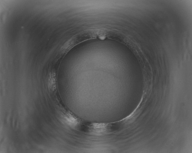 X0000060570144200511031319