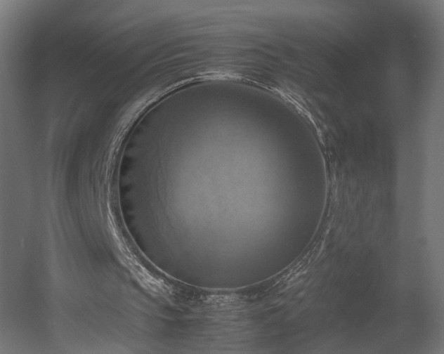 X0000060570145200511031318