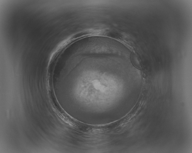 X0000060570149200511031318