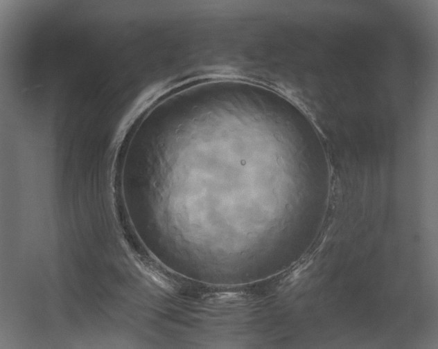 X0000060570151200511031318
