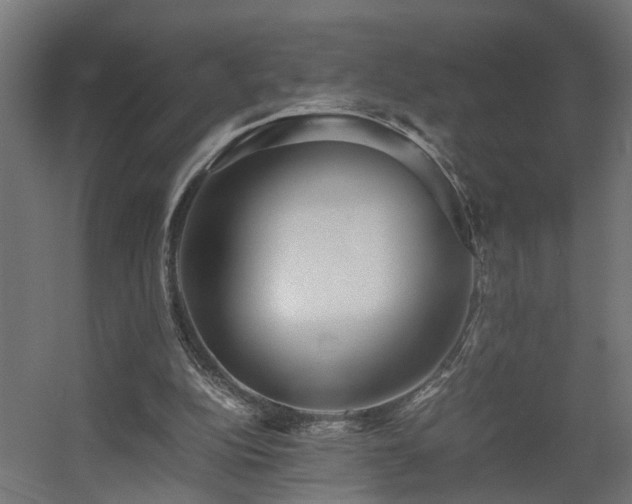 X0000060570152200511031318