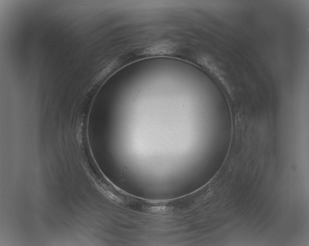X0000060570153200511031318
