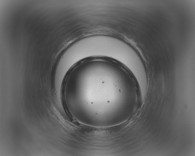 X0000060570154200511031318