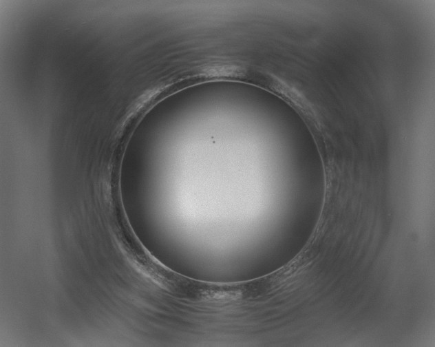 X0000060570155200511031318