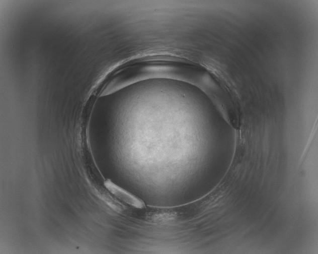 X0000060570156200511031318