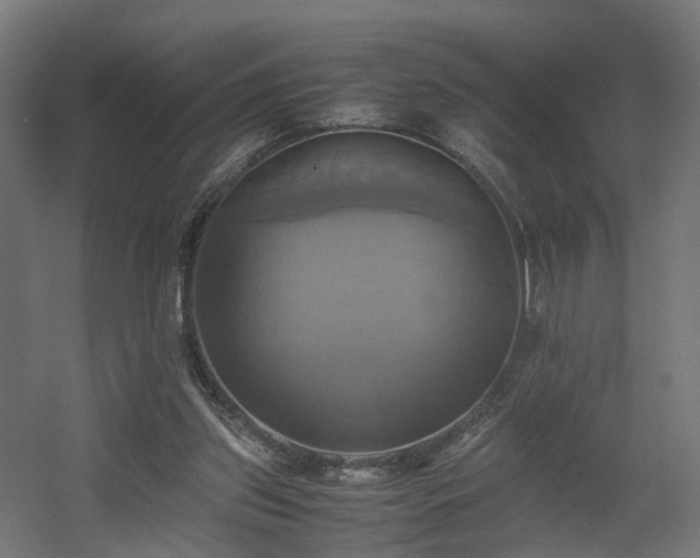 X0000060570157200511031318