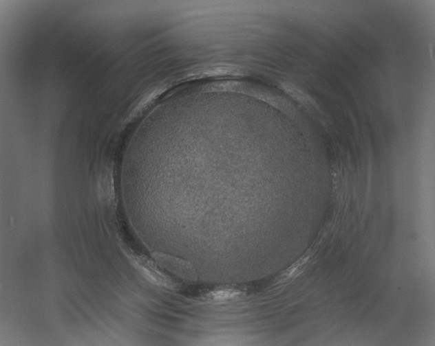 X0000060570158200511031318