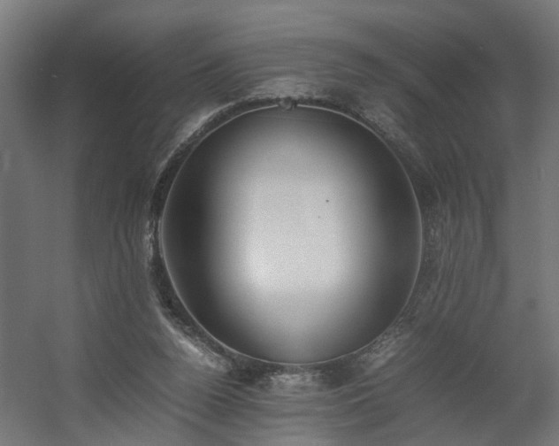 X0000060570160200511031318