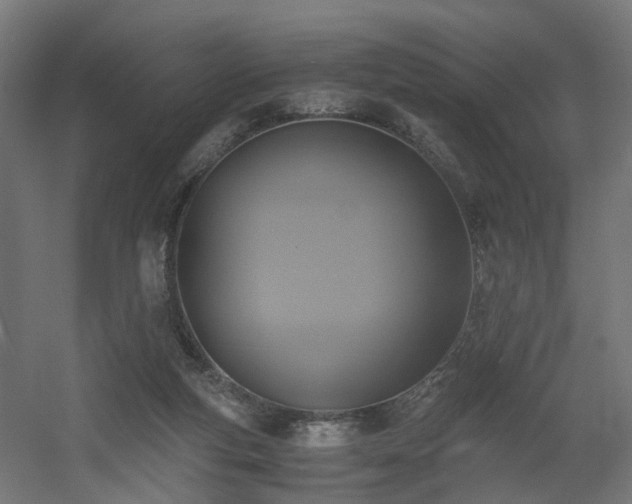 X0000060570163200511031319