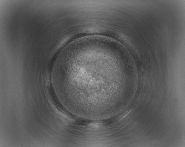X0000060570164200511031319