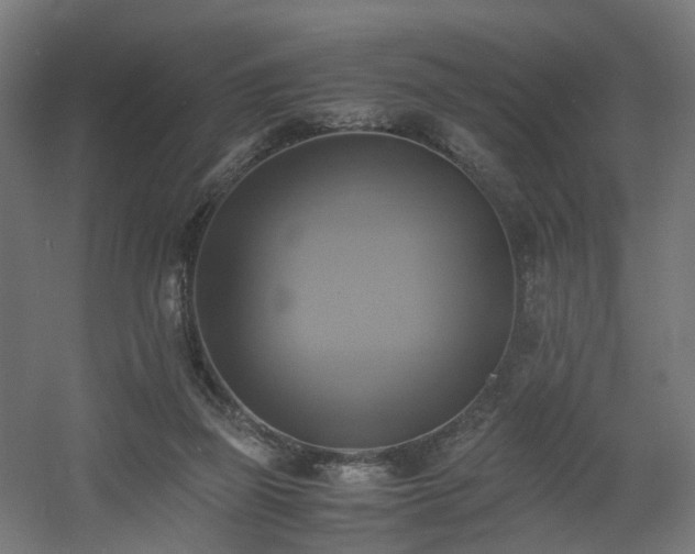 X0000060570165200511031319