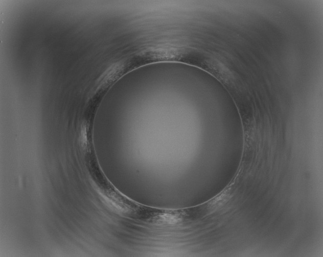 X0000060570166200511031319