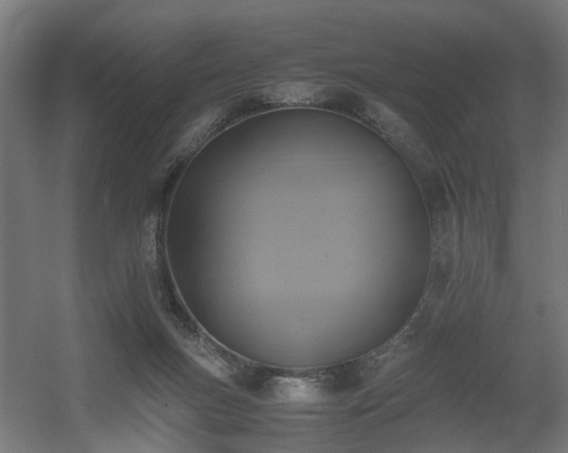 X0000060570167200511031319