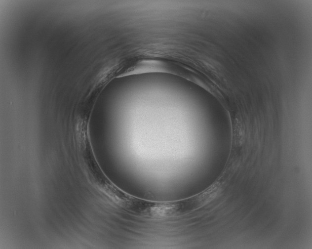 X0000060570172200511031319