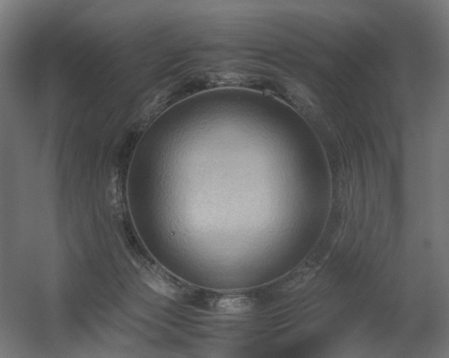X0000060570173200511031319