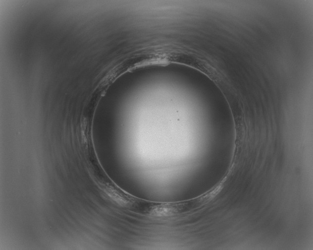 X0000060570174200511031319
