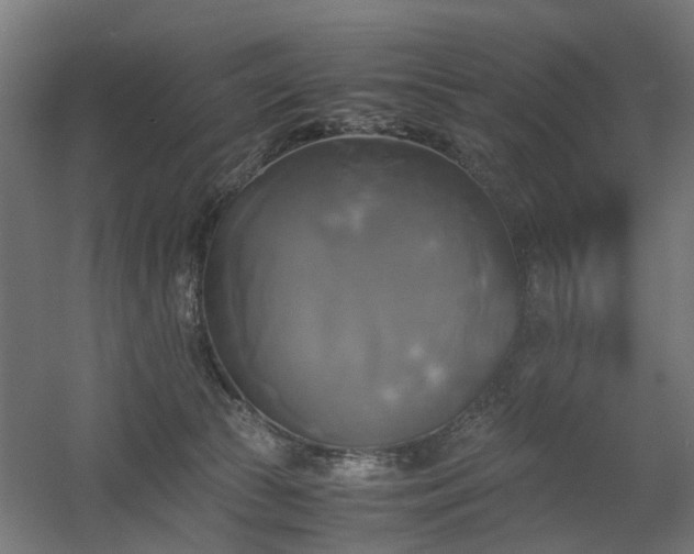 X0000060570177200511031319